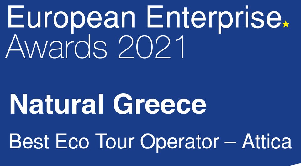 EU Business News European Enterprise Awards 2021
