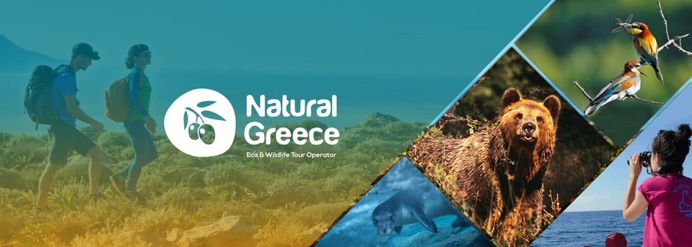 Natural Greece Honored with European Enterprise Award 2023
