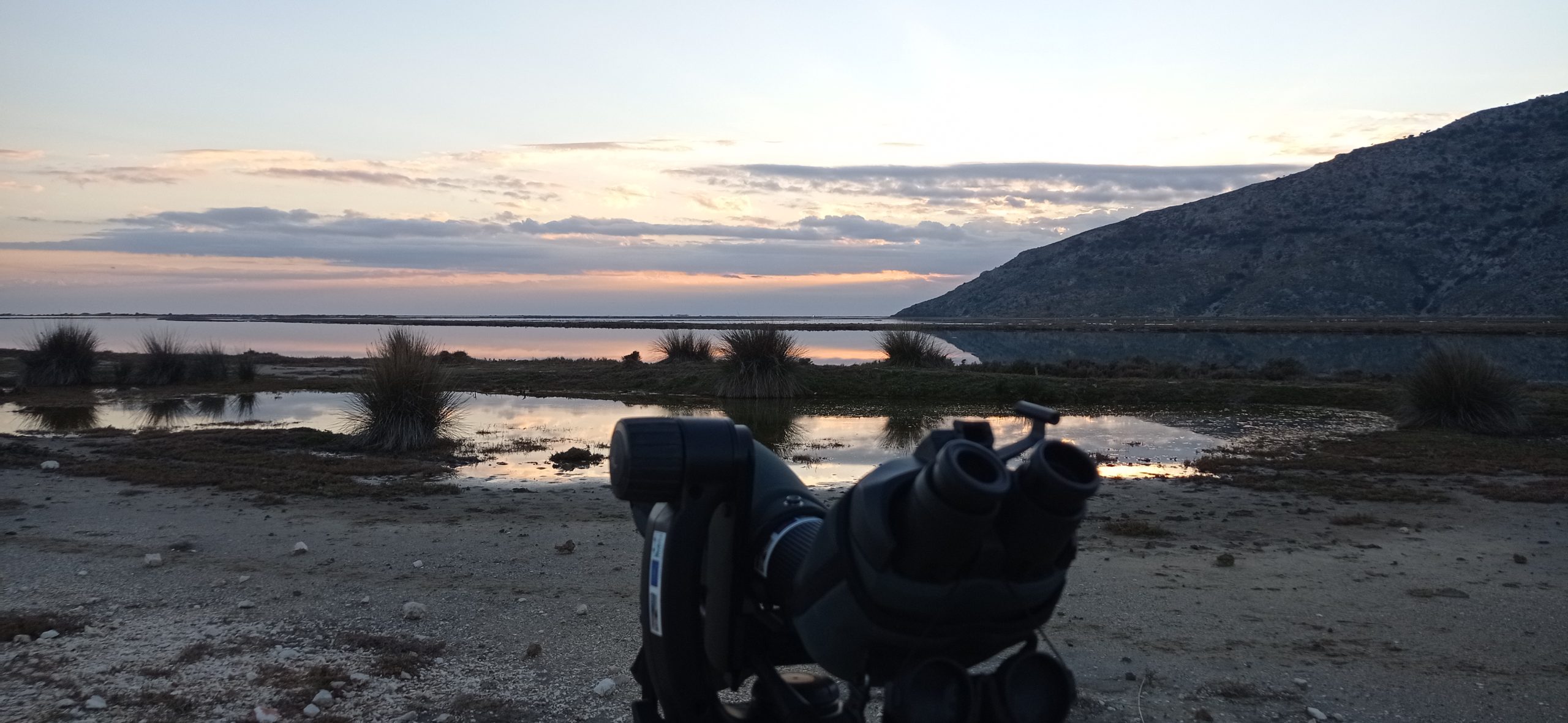 Golden hour landscape and soaring eagle during a birdwatching day in Greece