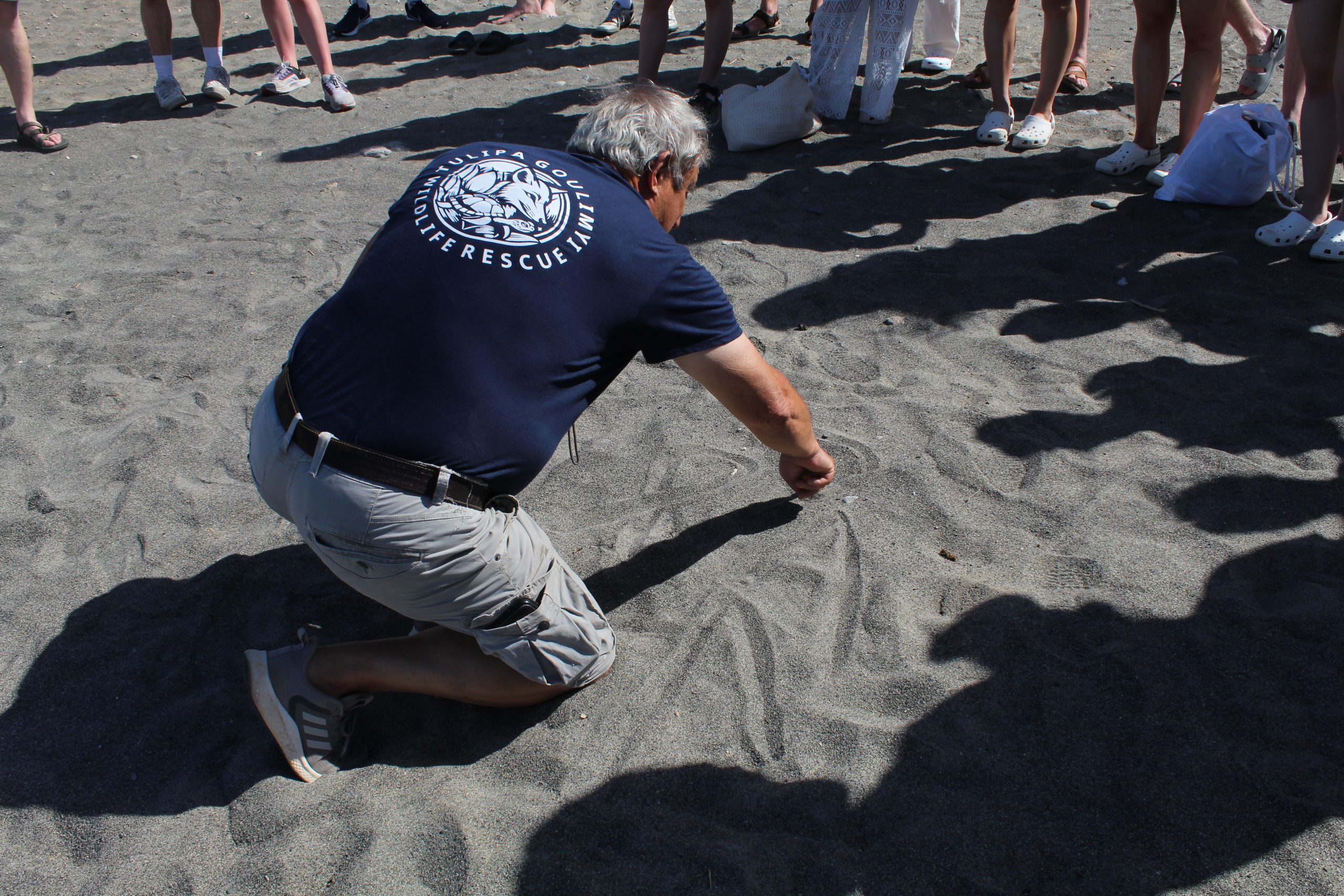 Tulipa Goulimyi NGO monitoring sea turtle nests