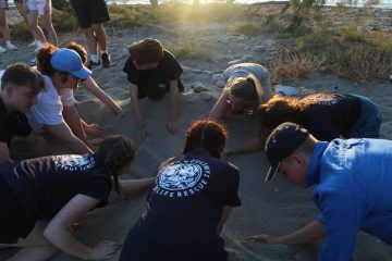 Volunteers help protect a sea turtle nest